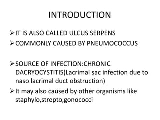 INTRODUCTION
IT IS ALSO CALLED ULCUS SERPENS
COMMONLY CAUSED BY PNEUMOCOCCUS
SOURCE OF INFECTION:CHRONIC
DACRYOCYSTITIS(Lacrimal sac infection due to
naso lacrimal duct obstruction)
It may also caused by other organisms like
staphylo,strepto,gonococci
 