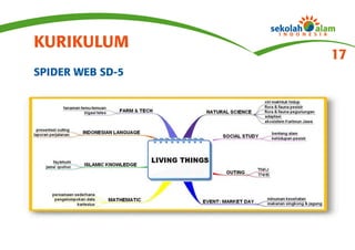 KURIKULUM
                  17
SPIDER WEB SD-5
 