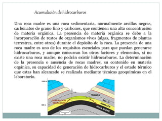 Acumulación de hidrocarburos
Una roca madre es una roca sedimentaria, normalmente arcillas negras,
carbonatos de grano fino y carbones, que contienen una alta concentración
de materia orgánica. La presencia de materia orgánica se debe a la
incorporación de restos de organismos vivos (algas, fragmentos de plantas
terrestres, entre otros) durante el depósito de la roca. La presencia de una
roca madre es uno de los requisitos esenciales para que puedan generarse
hidrocarburos, y aunque concurran los otros factores y elementos, si no
existe una roca madre, no podrán existir hidrocarburos. La determinación
de la presencia o ausencia de rocas madres, su contenido en materia
orgánica, su capacidad de generación de hidrocarburos y el estado térmico
que estas han alcanzado se realizada mediante técnicas geoquímicas en el
laboratorio.
 
