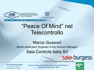 “ Peace Of Mind” nel Telecontrollo Marco Gussoni Senior Application Engineer & Key Account Manager Saia Controls Italia Srl 