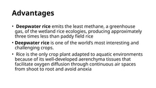 Different systems of rice cultivation in india | PPTX