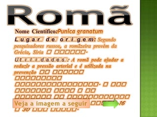 Nome Científico:
L u g a r d e o r i g e m:


Ut i l i d a d e s :
 