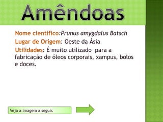 :Prunus amygdalus Batsch
                   : Oeste da Ásia
            : É muito utilizado para a
  fabricação de óleos corporais, xampus, bolos
  e doces.




Veja a imagem a seguir.
 