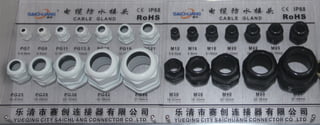 Saichuang cable gland