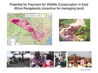 Challenges and impacts of land use and land use planning on ecosystem, biodiversity, and people