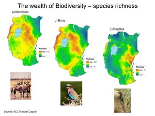 Challenges and impacts of land use and land use planning on ecosystem, biodiversity, and people