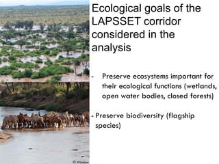 Challenges and impacts of land use and land use planning on ecosystem, biodiversity, and people