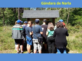 Gándara de Narla
 