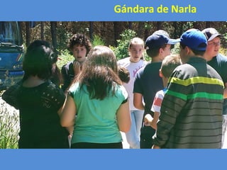 Gándara de Narla
 