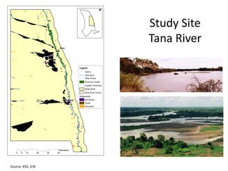 Mapping ecosystem services and trade-offs 