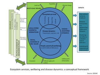 Mapping ecosystem services and trade-offs 