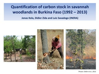 Livelihood diversifying potential of livestock based carbon sequestration options in pastoral and agro pastoral systems in Africa