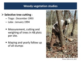 Livelihood diversifying potential of livestock based carbon sequestration options in pastoral and agro pastoral systems in Africa