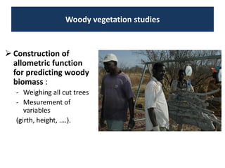 Livelihood diversifying potential of livestock based carbon sequestration options in pastoral and agro pastoral systems in Africa