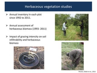 Livelihood diversifying potential of livestock based carbon sequestration options in pastoral and agro pastoral systems in Africa
