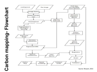 Livelihood diversifying potential of livestock based carbon sequestration options in pastoral and agro pastoral systems in Africa