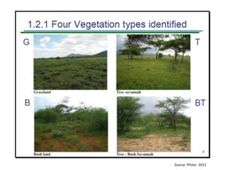 Livelihood diversifying potential of livestock based carbon sequestration options in pastoral and agro pastoral systems in Africa
