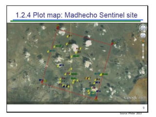 Livelihood diversifying potential of livestock based carbon sequestration options in pastoral and agro pastoral systems in Africa