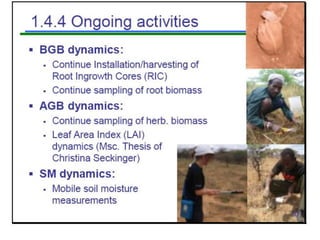 Livelihood diversifying potential of livestock based carbon sequestration options in pastoral and agro pastoral systems in Africa