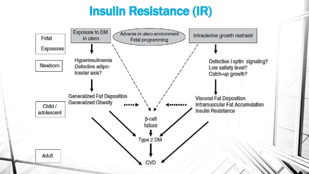 Prediction of Gestational Diabetes Mellitus and Hypertensive Disorder…