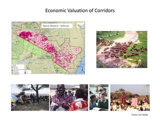 Participatory mapping of livestock stock routes in Tanzania