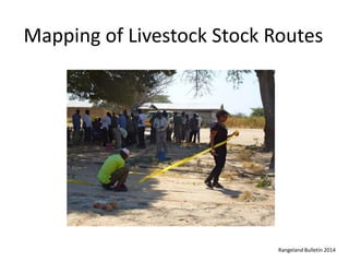 Participatory mapping of livestock stock routes in Tanzania