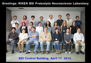 Greetings: RIKEN BSI Proteolytic Neuroscience Laboratory
BSI Central Building, April 17, 2014.
 