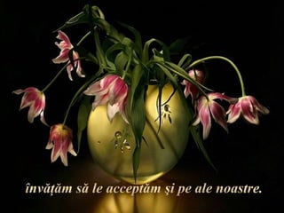 învăţăm să le acceptăm şi pe ale noastre. 
