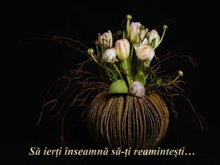 Să ierţi înseamnă să-ţi reaminteşti…