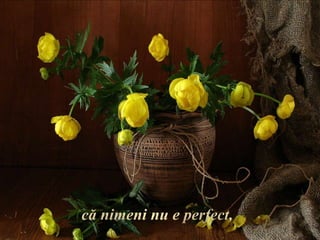 că nimeni nu e perfect,