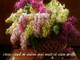 chiar când ne dorim mai mult să stăm drept.