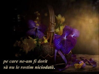 pe care ne-am fi doritsă nu le rostim niciodată.