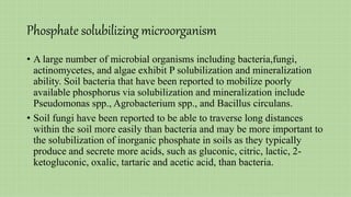 Phosphate solubilizing microorganism
• A large number of microbial organisms including bacteria,fungi,
actinomycetes, and algae exhibit P solubilization and mineralization
ability. Soil bacteria that have been reported to mobilize poorly
available phosphorus via solubilization and mineralization include
Pseudomonas spp., Agrobacterium spp., and Bacillus circulans.
• Soil fungi have been reported to be able to traverse long distances
within the soil more easily than bacteria and may be more important to
the solubilization of inorganic phosphate in soils as they typically
produce and secrete more acids, such as gluconic, citric, lactic, 2-
ketogluconic, oxalic, tartaric and acetic acid, than bacteria.
 