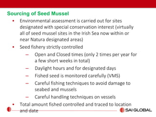 Sourcing of Seed Mussel
• Environmental assessment is carried out for sites
designated with special conservation interest (virtually
all of seed mussel sites in the Irish Sea now within or
near Natura designated areas)
• Seed fishery strictly controlled
– Open and Closed times (only 2 times per year for
a few short weeks in total)
– Daylight hours and for designated days
– Fished seed is monitored carefully (VMS)
– Careful fishing techniques to avoid damage to
seabed and mussels
– Careful handling techniques on vessels
• Total amount fished controlled and traced to location
and date
 