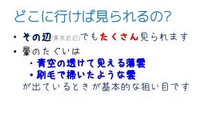 どこに行けば見られるの?
• その辺(東京近辺)でもたくさん見られます
• 暈のたぐいは
・青空の透けて見える薄雲
・刷毛で掃いたような雲
が出ているときが基本的な狙い目です
 
