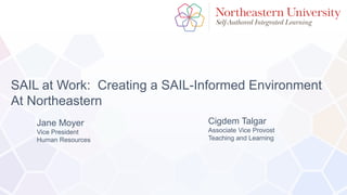 SAIL at Work: Creating a SAIL-Informed Environment
At Northeastern
Jane Moyer
Vice President
Human Resources
Cigdem Talgar
Associate Vice Provost
Teaching and Learning
 