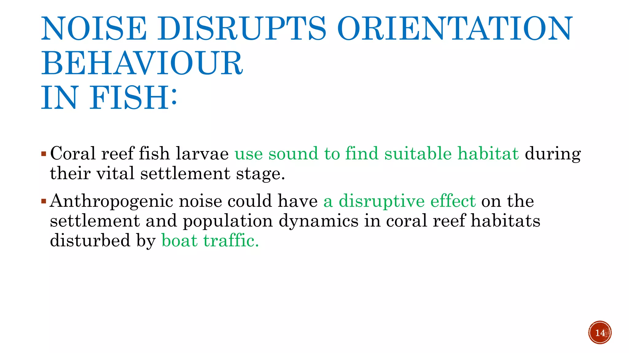NOISE DISRUPTS ORIENTATION
BEHAVIOUR
IN FISH:
Coral reef fish larvae use sound to find suitable habitat during
their vital settlement stage.
Anthropogenic noise could have a disruptive effect on the
settlement and population dynamics in coral reef habitats
disturbed by boat traffic.
14
 