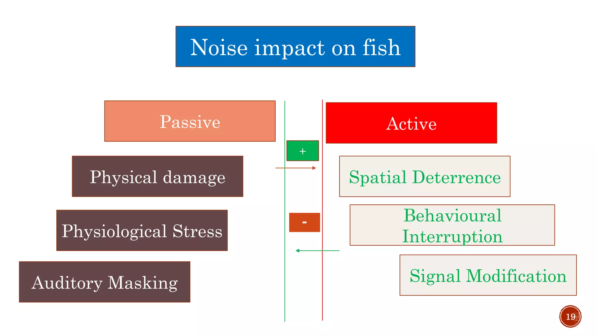 Noise impact on fish
Physical damage
Physiological Stress
Auditory Masking
Spatial Deterrence
Behavioural
Interruption
Signal Modification
Passive Active
+
-
19
 
