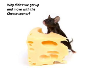 Why didn’t we get up and move with the Cheese sooner?