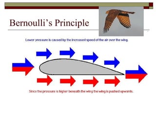 Bernoulli’s Principle
 