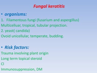 Fungal keratitis
• organisms:
1. Filamentous fungi (fusarium and aspergillus)
Multicelluar, tropical, tubular projection.
2. yeast( candida)
Ovoid unicellular, temperate, budding.
• Risk factors:
Trauma involving plant origin
Long term topical steroid
Cl
Immunosuppression, DM
 