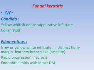 Fungal keratitis
• C/P:
Candida :
Yellow whitish dense suppurative infiltrate.
Collar stud
Filamentous :
Grey or yellow white infiltrate , indistinct fluffy
margin, feathery branch like (satellite)
Rapid progression, necrosis
Endophthalmitis with intact DM
 