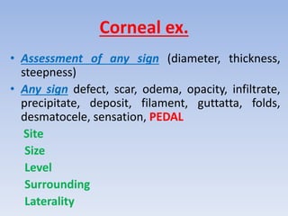 Corneal ex.
• Assessment of any sign (diameter, thickness,
steepness)
• Any sign defect, scar, odema, opacity, infiltrate,
precipitate, deposit, filament, guttatta, folds,
desmatocele, sensation, PEDAL
Site
Size
Level
Surrounding
Laterality
 