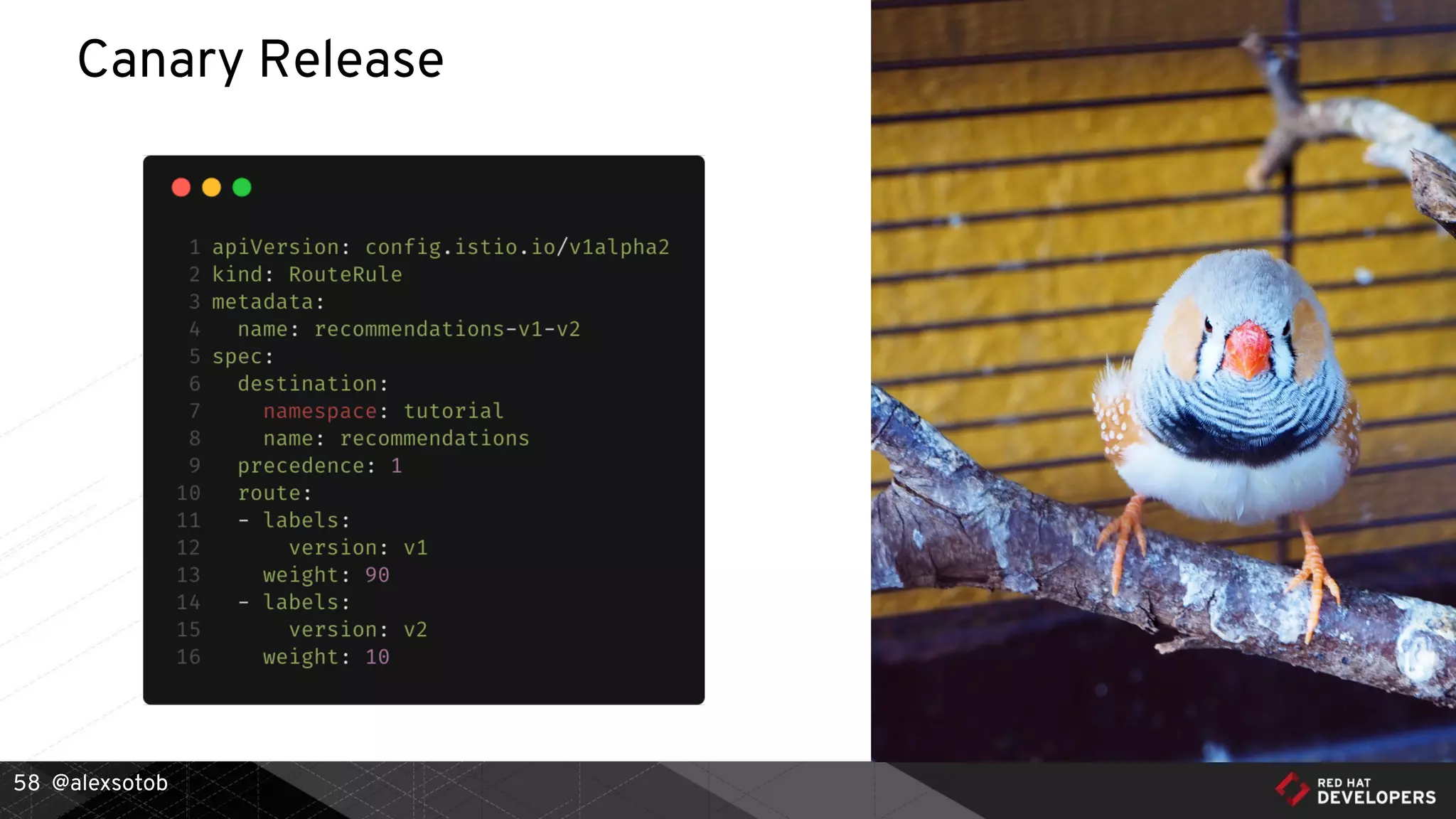 @alexsotob
Canary Release
58
 