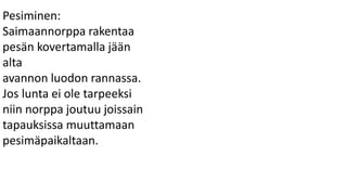 Pesiminen:
Saimaannorppa rakentaa
pesän kovertamalla jään
alta
avannon luodon rannassa.
Jos lunta ei ole tarpeeksi
niin norppa joutuu joissain
tapauksissa muuttamaan
pesimäpaikaltaan.
 