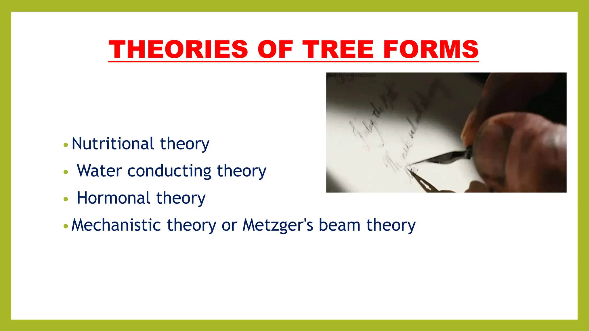 THEORIES OF TREE FORMS
• Nutritional theory
• Water conducting theory
• Hormonal theory
• Mechanistic theory or Metzger's beam theory
 