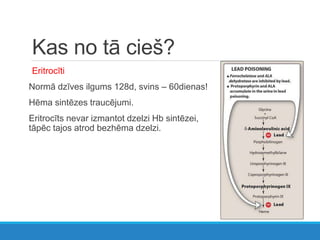 Kas no tā cieš?
Eritrocīti
Normā dzīves ilgums 128d, svins – 60dienas!
Hēma sintēzes traucējumi.
Eritrocīts nevar izmantot dzelzi Hb sintēzei,
tāpēc tajos atrod bezhēma dzelzi.
 