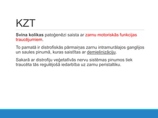 KZT
Svina kolikas patoģenēzi saista ar zarnu motoriskās funkcijas
traucējumiem.
To pamatā ir distrofiskās pārmaiņas zarnu intramurālajos ganglijos
un saules pinumā, kuras saistītas ar demielinizāciju.
Sakarā ar distrofiju veģetatīvās nervu sistēmas pinumos tiek
traucēta tās regulējošā iedarbība uz zarnu peristaltiku.
 