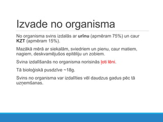 Izvade no organisma
No organisma svins izdalās ar urīnu (apmēram 75%) un caur
KZT (apmēram 15%).
Mazākā mērā ar siekalām, sviedriem un pienu, caur matiem,
nagiem, deskvamējušos epitēliju un zobiem.
Svina izdalīšanās no organisma norisinās ļoti lēni.
Tā bioloģiskā pusdzīve ~18g.
Svins no organisma var izdalīties vēl daudzus gadus pēc tā
uzņemšanas.
 