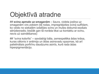 Objektīvā atradne
## svina apmale uz smaganām – šaura, violeta josliņa uz
smaganām virs zobiem (tā rodas, impregnējoties svina sulfīdam,
ko veido no siekalām izdalījies svins un mutes dobumā esošais
sērūdeņradis; biežāk gan tā norāda tikai uz kontaktu ar svinu,
nevis uz saindēšanos)
## “svina kolorīts” – savdabīgi bāla, zemespelēka ādas krāsa,
kuras cēlonis ir anēmija un ādas asinsvadu spazmas, kā arī
palielinātais porfirīnu daudzums asinīs, kurš rada ādas
hiperpigmentāciju.
 